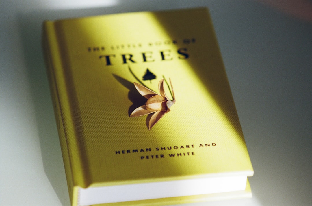 Impactul mediului de învățare asupra concentrării: arhitectura școlară