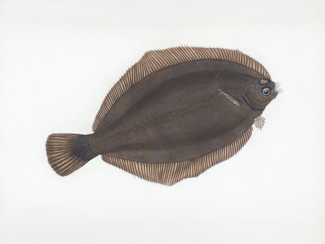 Photo ecological education